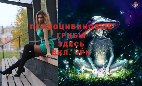 МДПВ Верхнеуральск